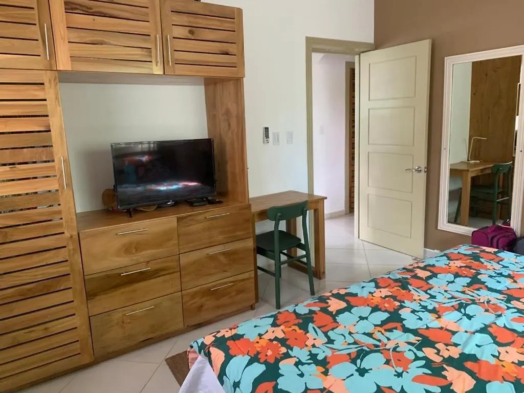 Gorgeous Apartment Steps To Playa Punta Popy Las Terrenas
